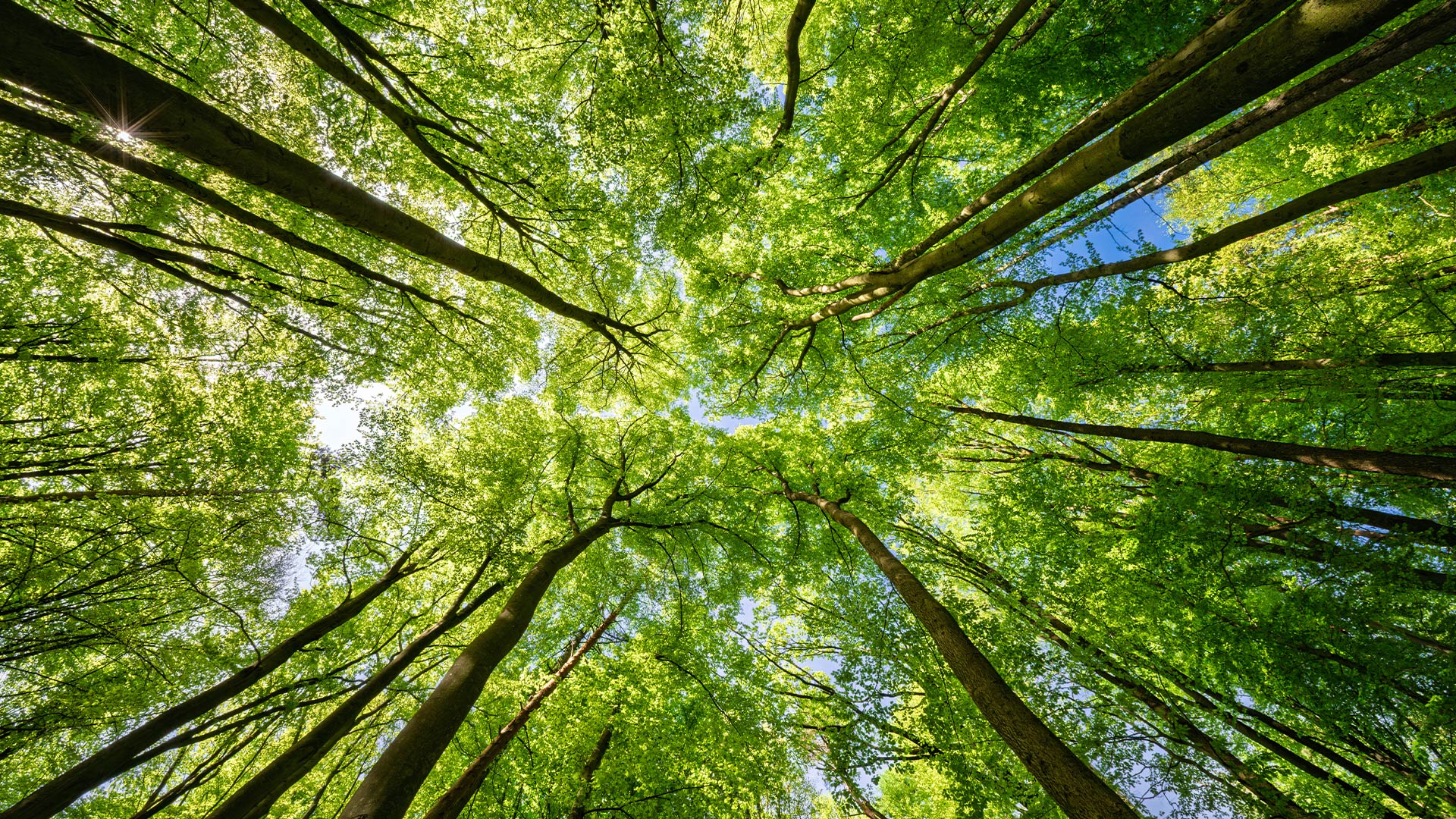 Биологиялық әралуандылық Топ биологиялық әралуандылықты сақтаудың маңыздылығын мойындайды және табиғатты қорғау құндылығы жоғары деп саналатын аудандарда қызмет жүргізбейді.