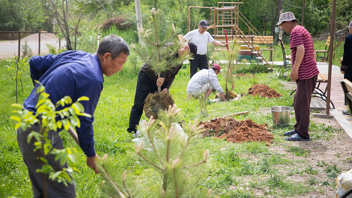 2021-1146-tree-planting.jpg